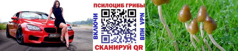 магазин продажи   Поронайск  hydra сайт  Галлюциногенные грибы ЛСД 